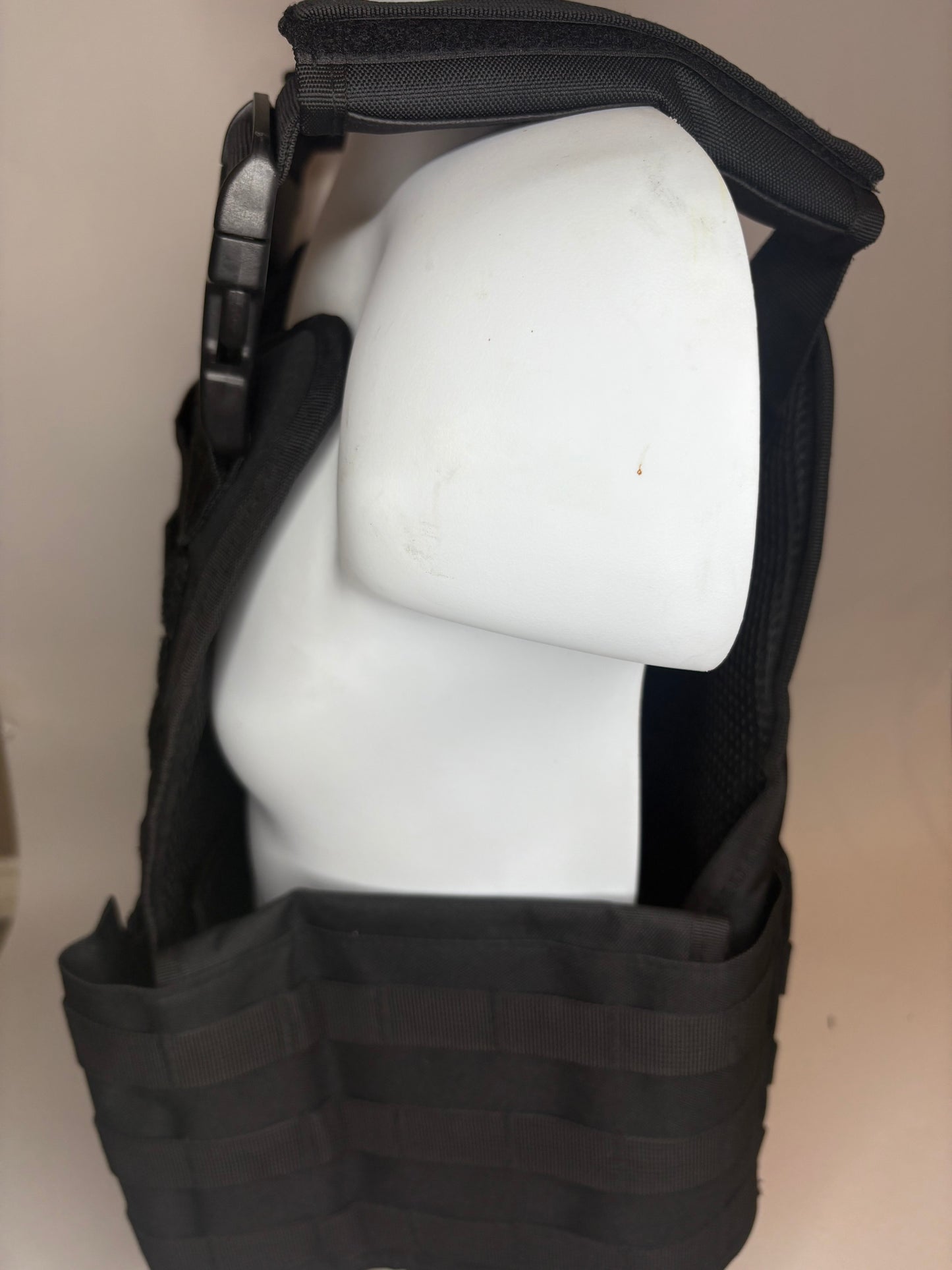 Standard plate carrier with side plate pockets